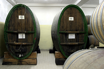 Cantine Vinci 2 Cantine Vinci 2