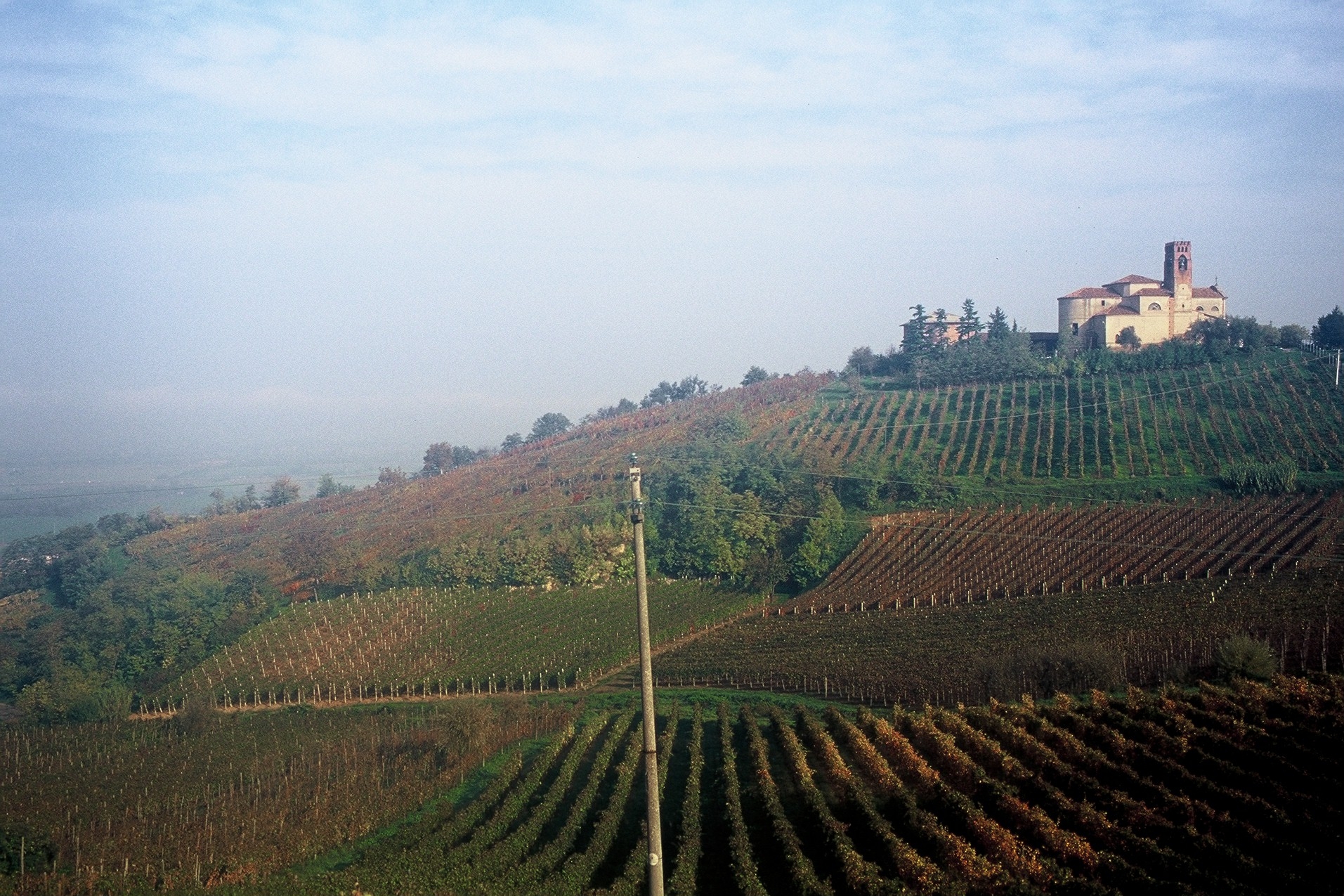 Azienda Agricola La Ciesa 3