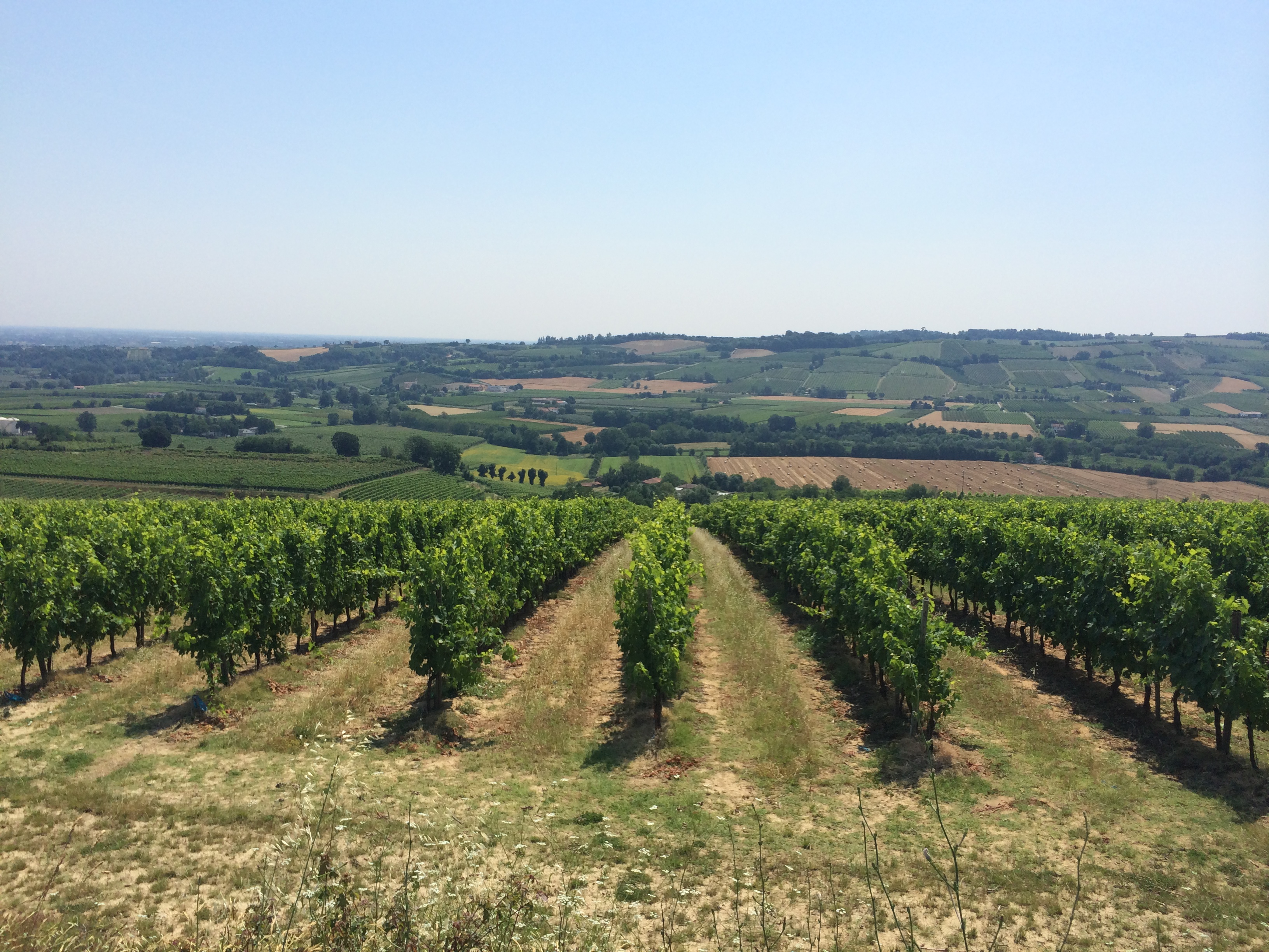 La Casetta Azienda Agricola