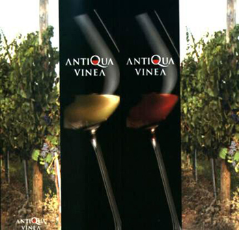 Antiqua Vinea 2