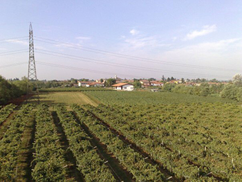 Azienda Agricola Corani 2 Azienda Agricola Corani 2