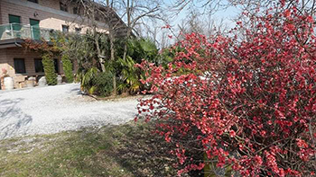 Azienda Agricola Serafini 3