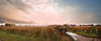 Tenuta Ambrosini 2 Tenuta Ambrosini 2