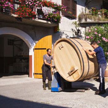 Vini dei Giop 2 Vini dei Giop 2
