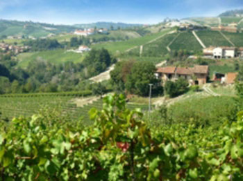 Cascina Merenda 3 Cascina Merenda 3