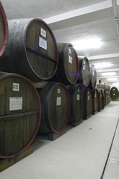 Santa Messa Vino - Cantine Vinci