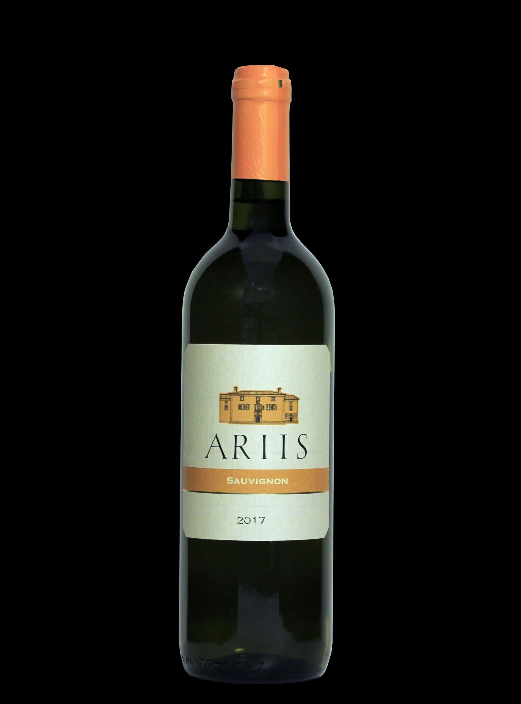 Sauvignon - Cantina Ariis