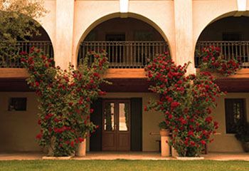Tenuta Baron