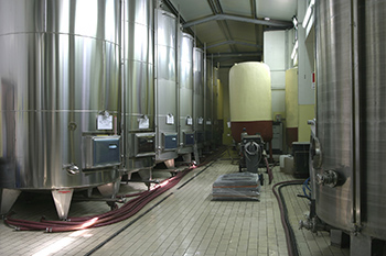 Cantine Vinci
