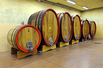 Sancolodi Vini & Spumanti
