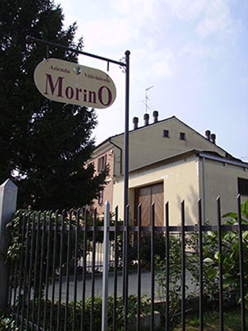 Azienda Vitivinicola Morino Carla