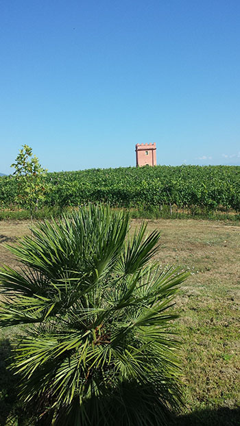 Fattoria Santa Lucia