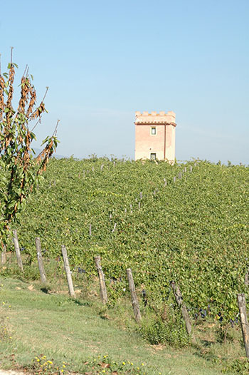 Fattoria Santa Lucia
