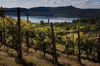 Cantina della Serra