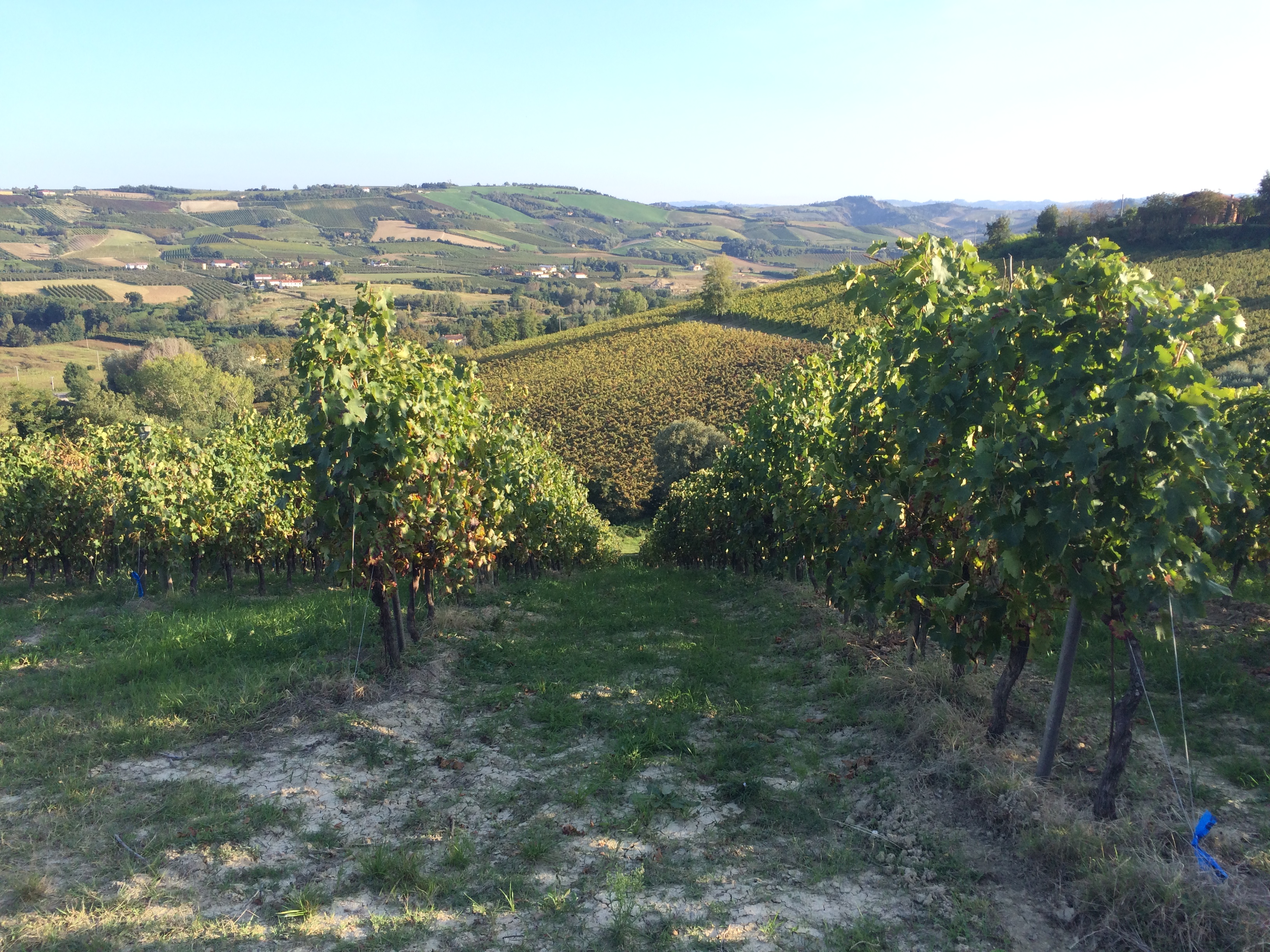La Casetta Azienda Agricola