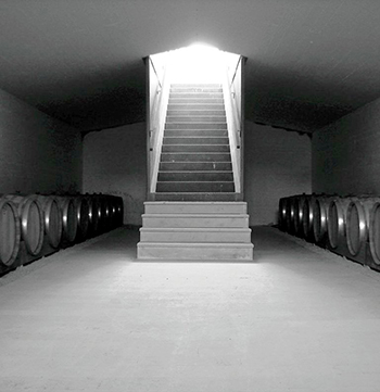 Cantina Taverna