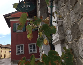 Cantina Ariis