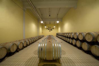 Azienda Santa Lucia