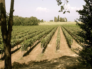 San Michele